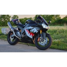 2004-2005 KAWASAKI ZX-10R Stainless Full System